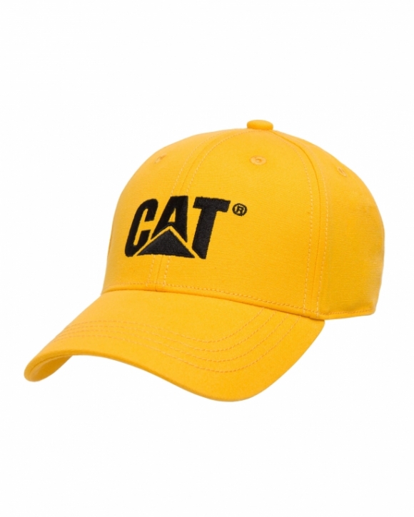 Мужская кепка CAT W01791
